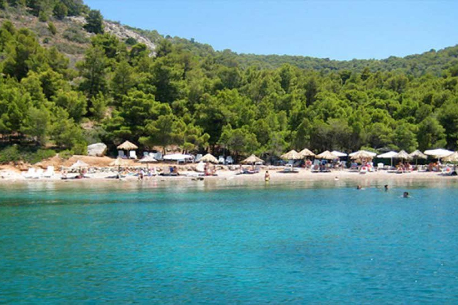 Cruise Tselevinia / Hydra / Rodini Shipwreck